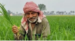 सहकारी सोसाइटियों में यूरिया-डीएपी का संकट, खेती छोड़ भटक रहे किसान…जिले की सोसाइटियों में खाद की किल्लत, निजी दुकानों में भरपूर स्टॉक…पढ़िए खबर