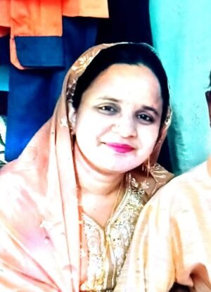 नेहरू नगर पर तेज रफ्तार बाइक जा घुसी ट्रक में, दो की मौत