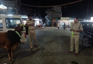 सूरजपुर पुलिस ने एनएच पर घुम रहे मवेशियों के 2 मालिकों के विरूद्ध की गई कार्यवाही।