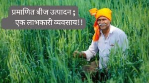 प्रमाणित बीज उत्पादन, एक लाभकारी व्यवसाय