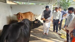 गौरा गौरी विसर्जन में शामिल हुए केबिनेट मंत्री गजेन्द्र यादव