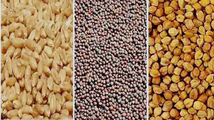 WhatsApp Image 2025-10-22 at 6.48.37 PM