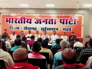 15 नवम्बर को होगा शहीद वीर नारायण सिंह स्मृति लोक कला महोत्सव का आयोजन