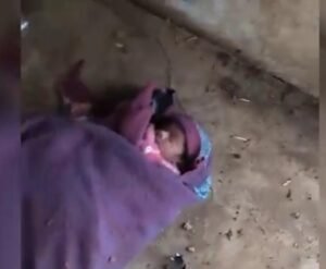 खंडहर में ठंड से कांपती और रोती हुई मिली नवजात बच्ची, अस्पताल में इलाज जारी