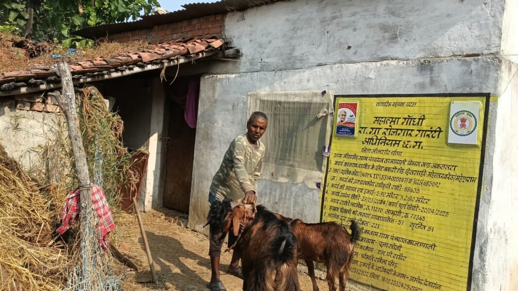 WhatsApp Image 2025-11-22 at 7.34.00 PM (1)