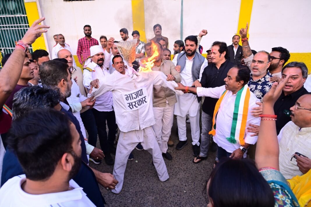 WhatsApp Image 2025-11-29 at 7.37.47 PM