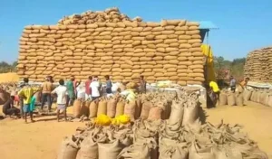 प्रदेश के सभी किसानों को धान खरीदी केंद्र में दी जा रही है सभी बुनियादी सुविधाएं