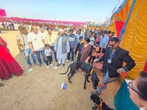 सेक्टर-7 भिलाई में 26वां डॉग शो बना आकर्षण का केंद्र, उमड़ा पशु प्रेमियों का सैलाब