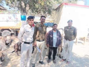 पशु तस्करों के विरुद्ध रायगढ़ पुलिस ने चलाया “आपरेशन शंखनाद