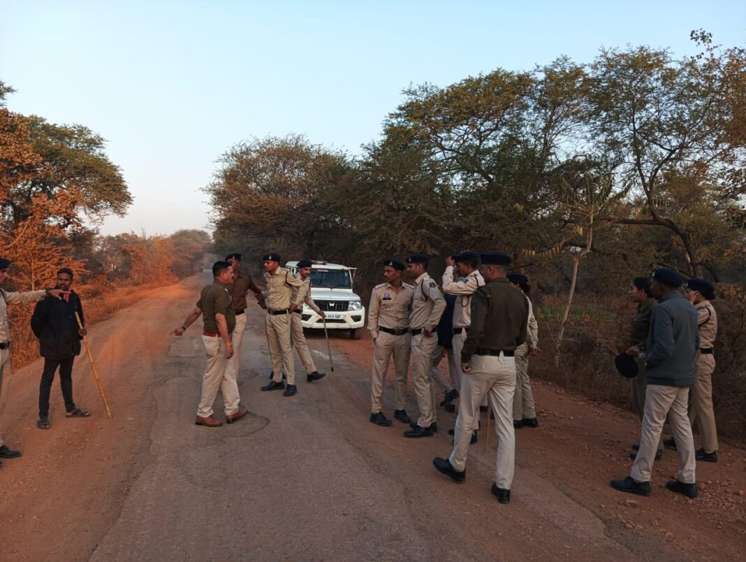 WhatsApp Image 2026-02-19 at 12.50.51 AM