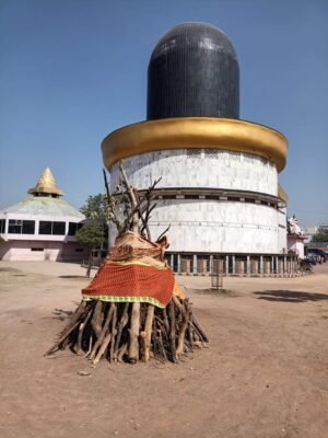 मां पाताल भैरवी सिद्धपीठ में होलिका दहन 2 को