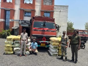 महासमुंद पुलिस की बड़ी कार्रवाई: कंपनी के सामान की आड़ में 3 करोड़ का गांजा तस्करी नाकाम