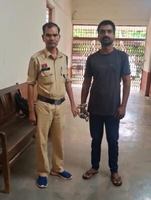 पत्नी की हत्या के मामले में दोषी आरोपी को आजीवन कारावास