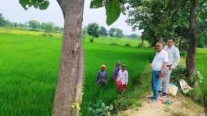 लगातार बारिश से फसलों में कीट-रोग का खतरा, कृषि विभाग ने जारी की एडवाइजरी